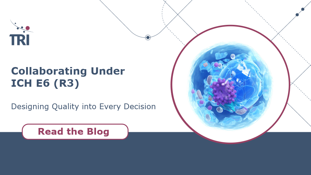 Collaborating-under-iche6r3